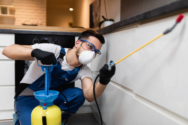 Best Pest Inspection Near Me  in Victory Lakes, NJ