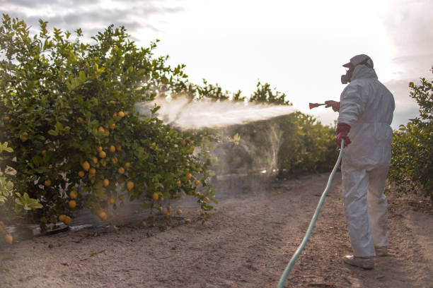 Best Wildlife Control Services  in Victory Lakes, NJ