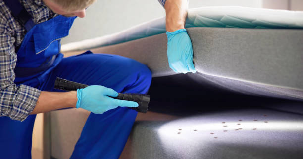 Pest Control Cost in Victory Lakes, NJ