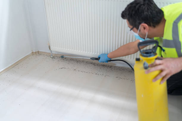 Best Mosquito Control Services  in Victory Lakes, NJ