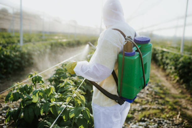 Best Affordable Pest Control Services  in Victory Lakes, NJ